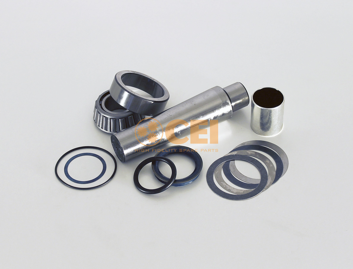   Scania-3 ?45-55 L-216  , 