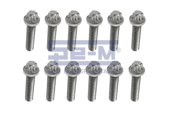 ���� ��������� ������ GIGANT / Torx-�24_�18*80 ��� 1,5 (�������� 12�� )