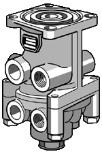 ���� ������ ���������